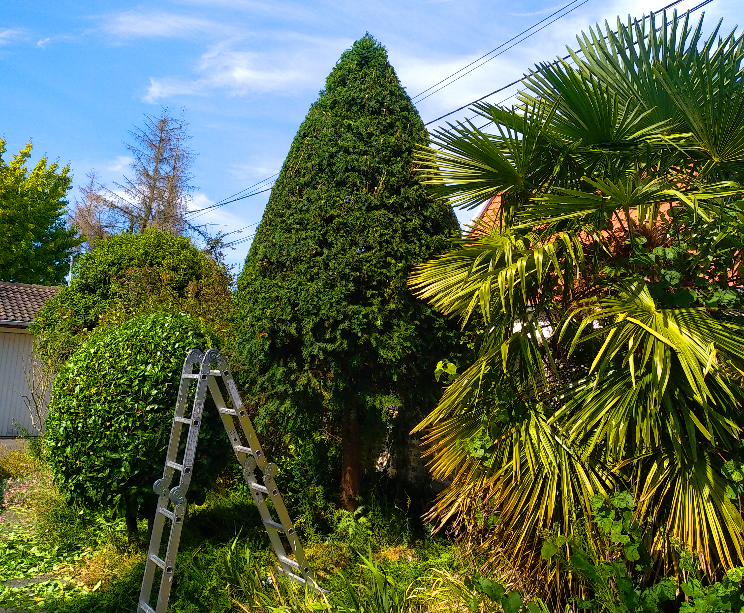 Aménagement d’un jardin paysager